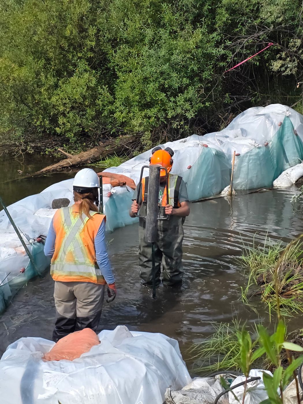 Two crew members in waders driving posts inside a sandbag coffer dam