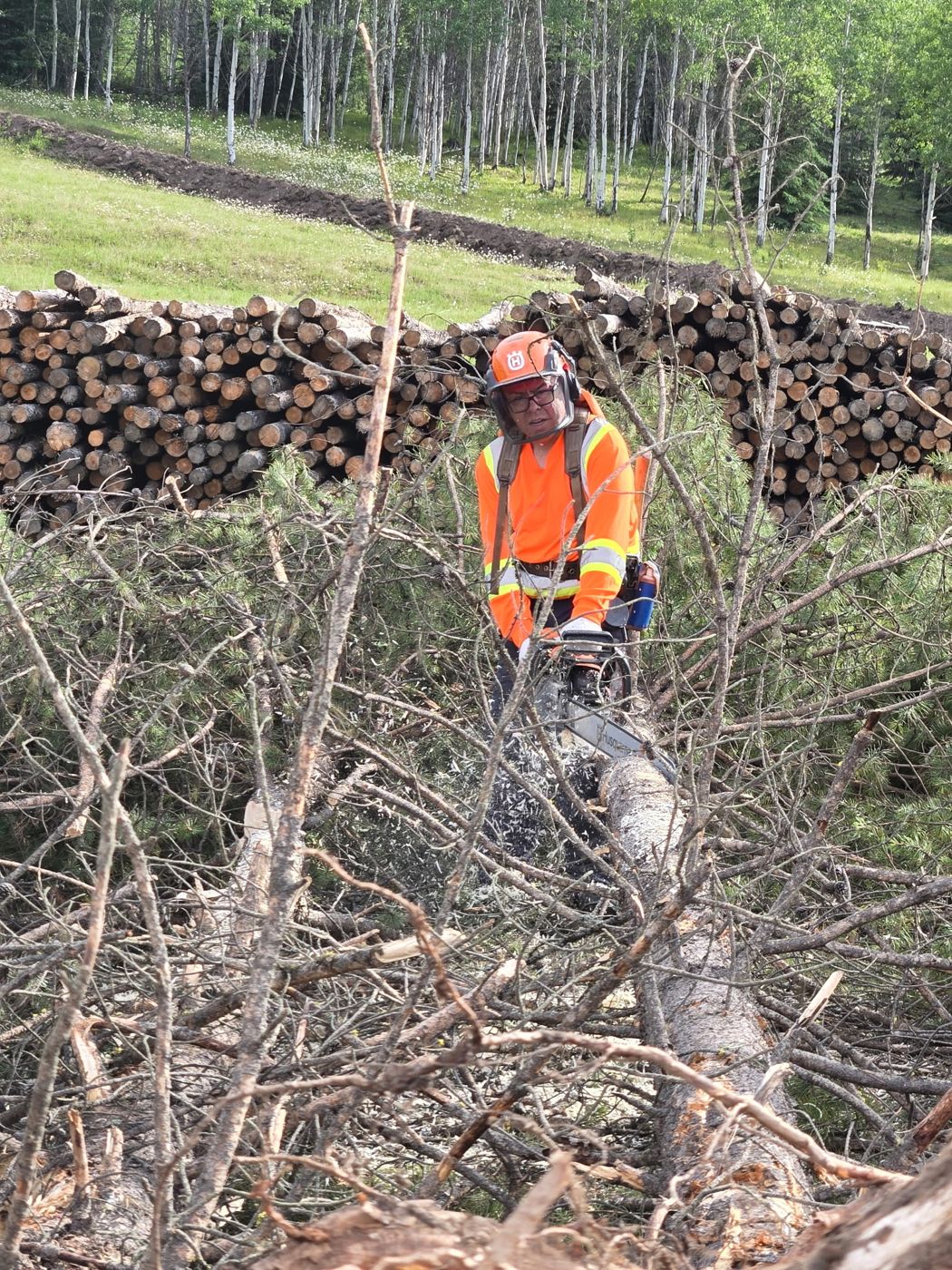 Faller working in slash with a log deck behind